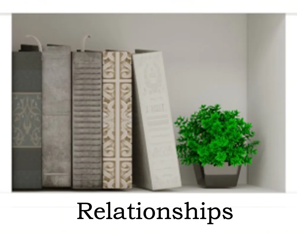 Relationships Books Shelf