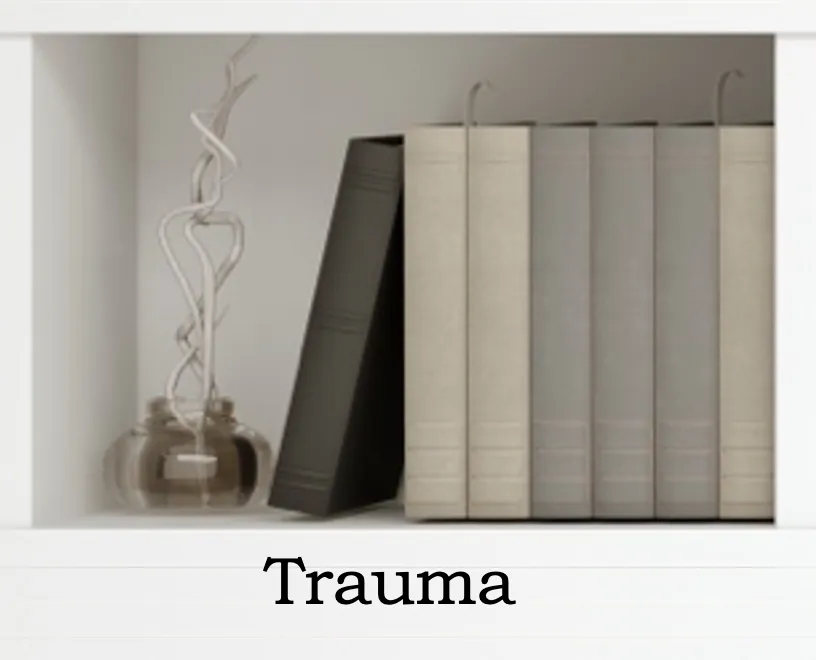 Trauma Books Shelf